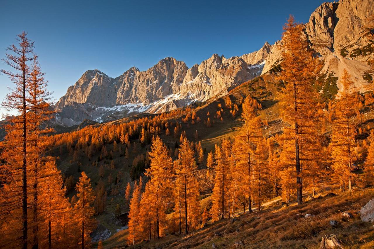 Panorama * Ramsau am Dachstein