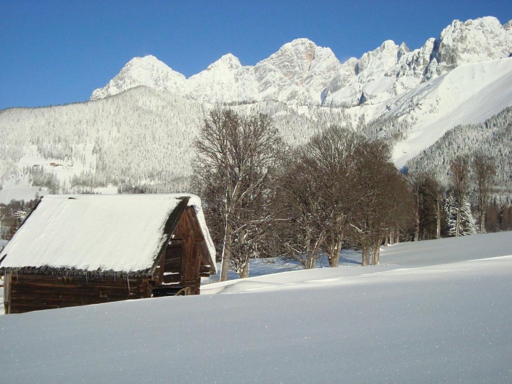 Panorama